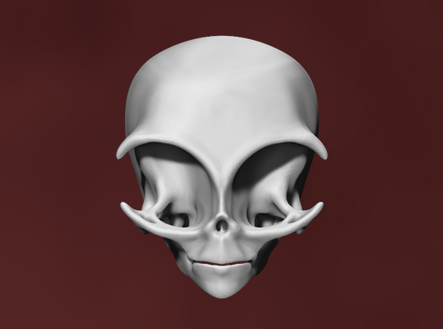 Grey Alien Skull in White Natural Versatile Plastic