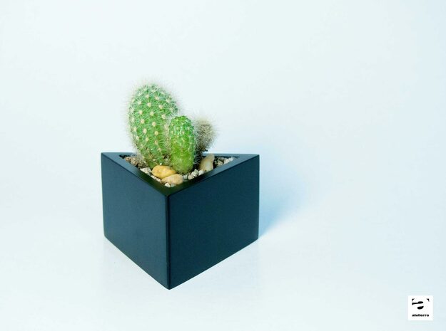 Prisma - planter for succulents and cactuses in Black Natural Versatile Plastic: Small