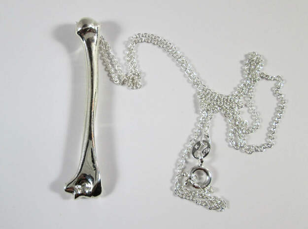 Humerus Bone Pendant in Polished Silver
