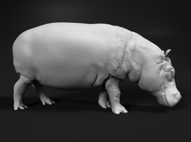 Hippopotamus 1:12 Walking Female in White Natural Versatile Plastic