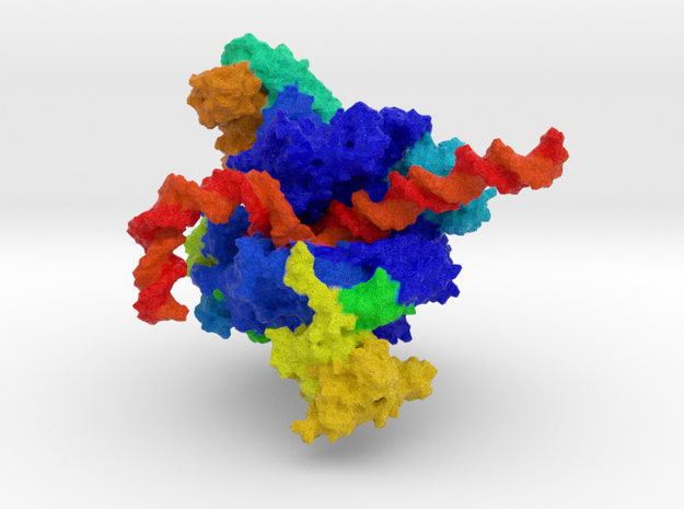 RNA Polymerase I in Full Color Sandstone