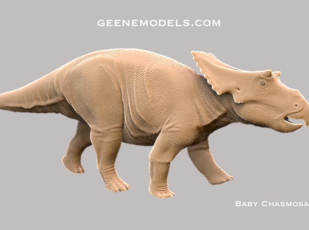 Baby Chasmosaurus 1:35 v1 in White Natural Versatile Plastic