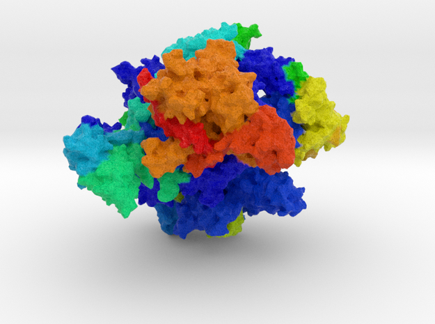 RNA Polymerase III in Full Color Sandstone