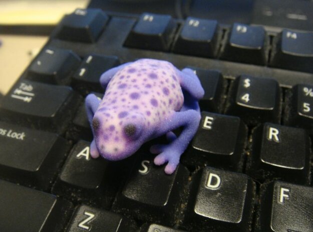 White Poison Dart Frog in Full Color Sandstone