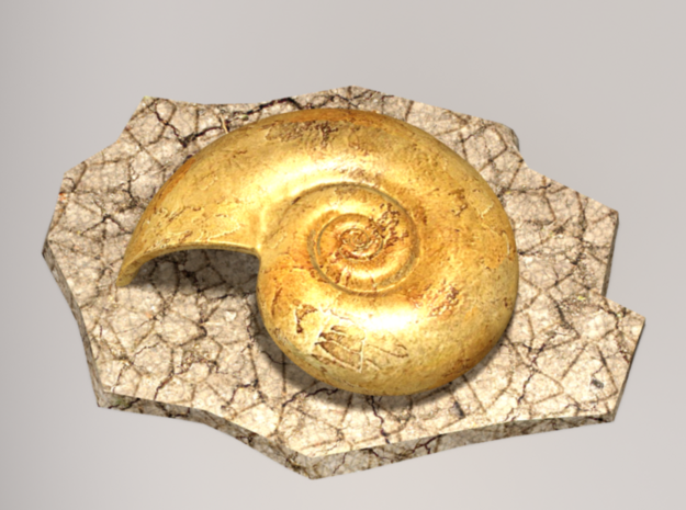 Helix fossil in Full Color Sandstone