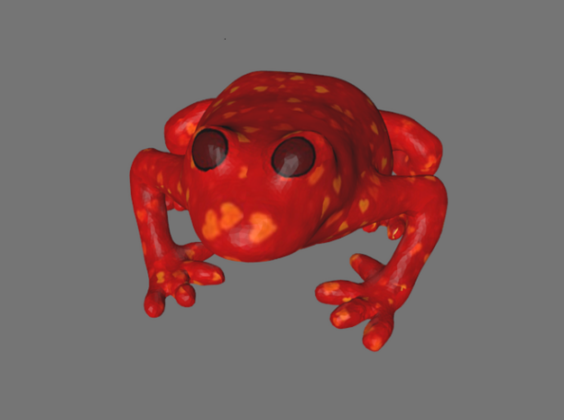 Valentines Heart Frog in Full Color Sandstone