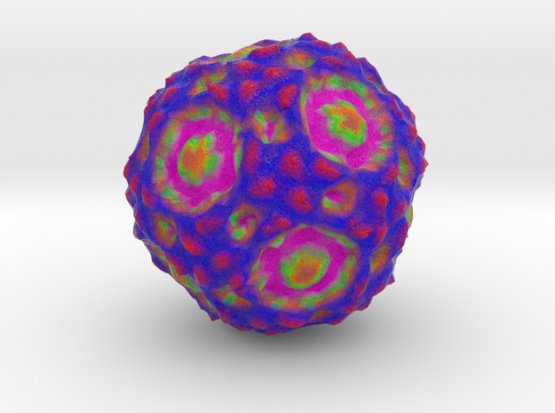 B19 Parvovirus in Full Color Sandstone