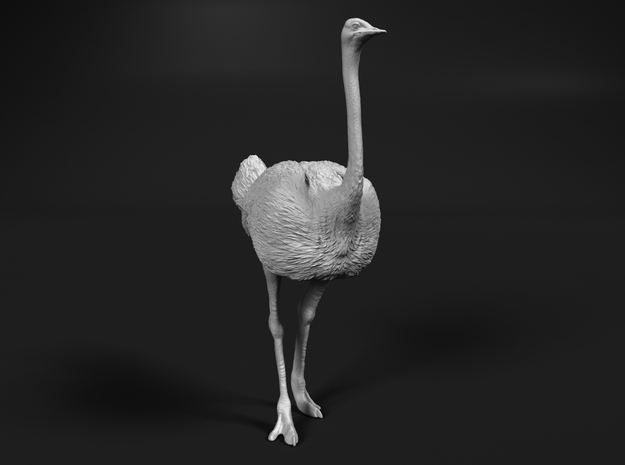 Ostrich 1:25 Standing Calm in White Natural Versatile Plastic