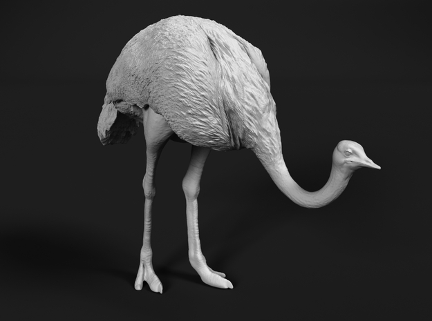 Ostrich 1:25 Head Down in White Natural Versatile Plastic