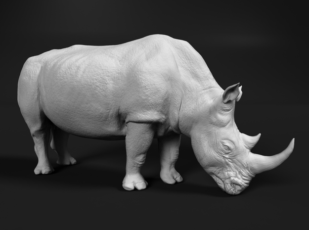 White Rhinoceros 1:76 Grazing Female in Tan Fine Detail Plastic