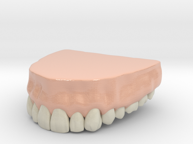 3D Teeth top in Glossy Full Color Sandstone