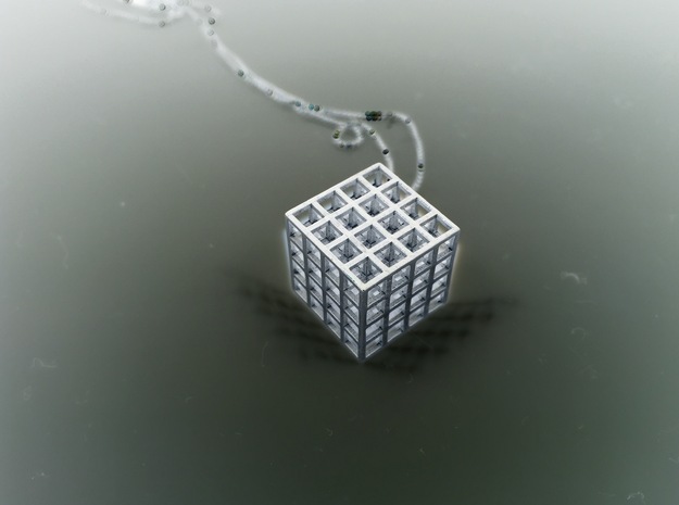 Mesh Cube Necklace  in Natural Silver