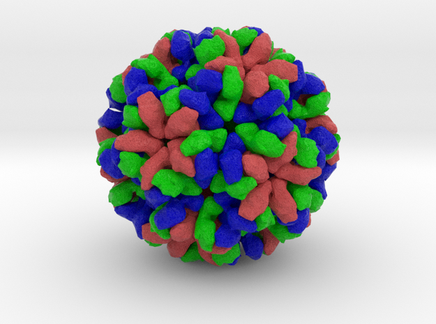 Orsay Virus in Full Color Sandstone