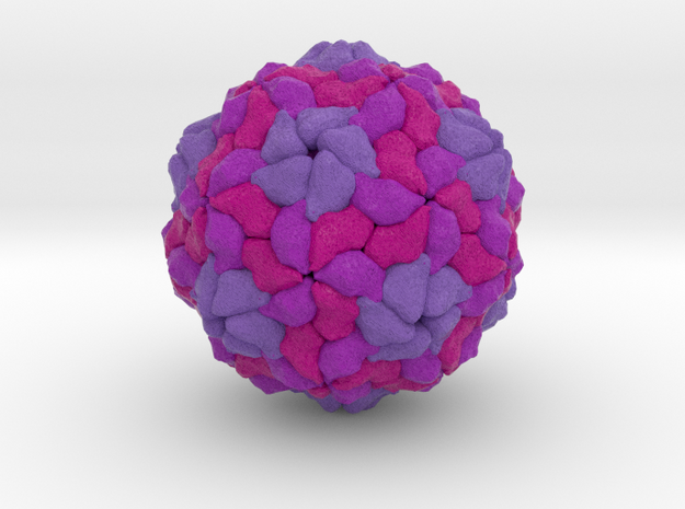  Human Parechovirus in Full Color Sandstone