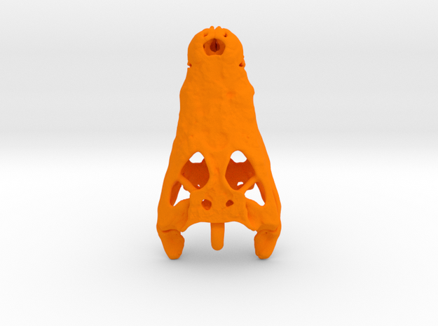 Alligator 60mm with Pendant Loop in Orange Processed Versatile Plastic