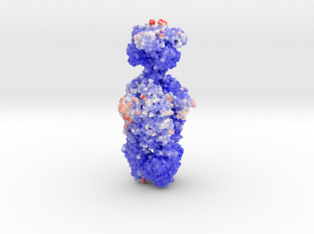 Putative Tailspike Protein of a Bacteriophage (Vol in Glossy Full Color Sandstone: Medium