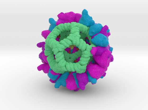 Pariacoto Virus  in Full Color Sandstone