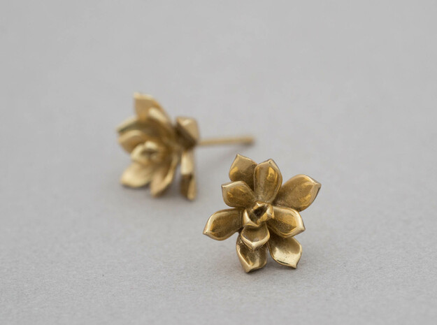 Succulent No. 3 Stud Earrings in Polished Brass