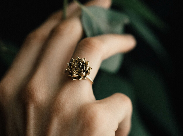 Succulent Stacking Ring No. 5