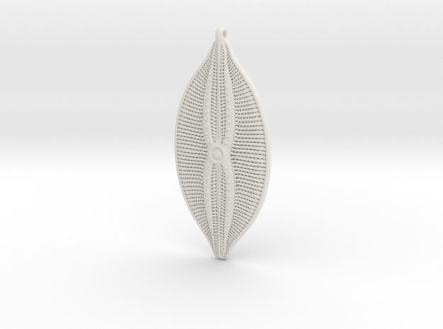 Navicula bulatta diatom ~ 140mm tall in White Natural Versatile Plastic