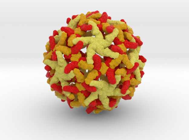 Yellow Fever Virus in Full Color Sandstone