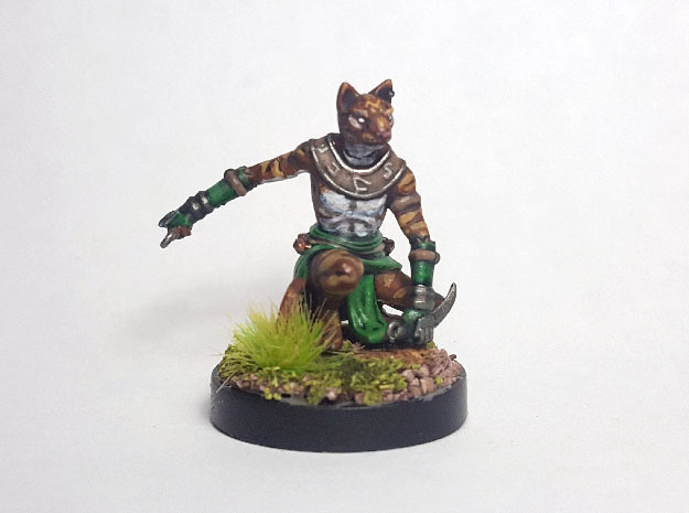 Tabaxi Rogue (Male) in Tan Fine Detail Plastic