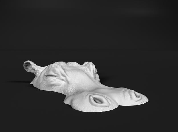 Hippopotamus 1:160 Lying in Water 5 in Tan Fine Detail Plastic