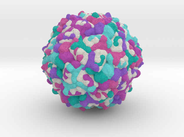 Enterovirus 71 in Full Color Sandstone