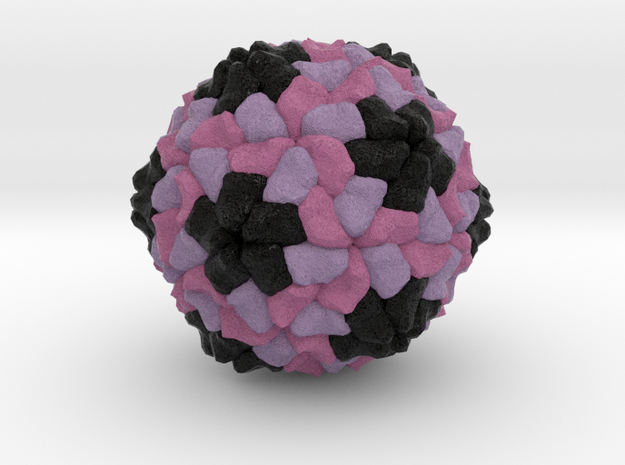 Sesbania Mosaic Virus in Full Color Sandstone
