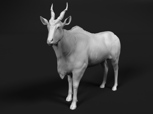 Common Eland 1:9 Standing Male