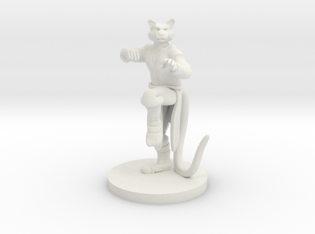 Catfolk Male Monk in White Natural Versatile Plastic