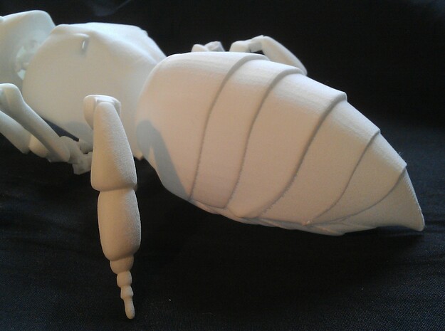 Articulated Honey bee in White Natural Versatile Plastic