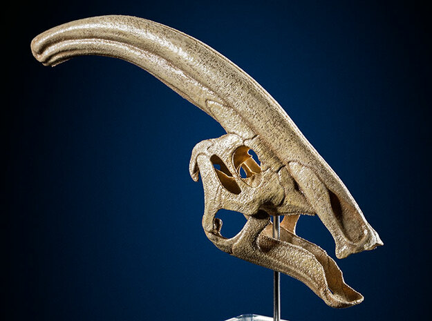 Parasaurolophus - dinosaur skull replica