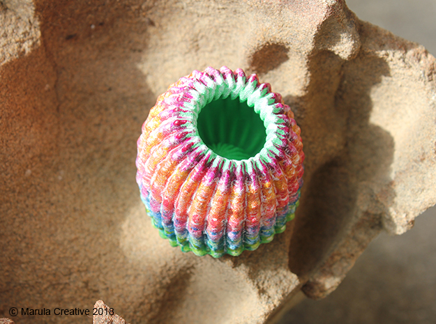 Brain Coral Jewellery Container