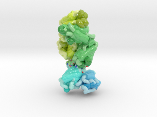 Human Antibody Fab Targeting fHbp (Ribbon) in Glossy Full Color Sandstone: Small