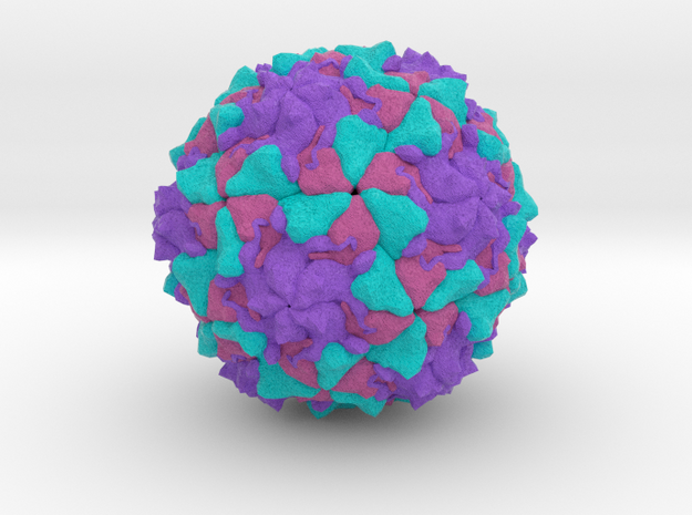 Polio Virus in Full Color Sandstone