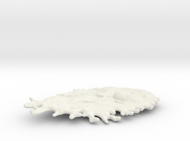 Omni Scale Monster Small Space Amoeba MGL in White Natural Versatile Plastic
