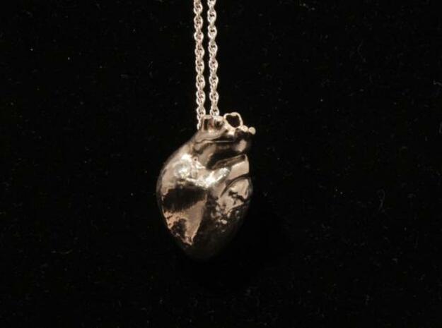 Real Anatomical Heart Hollow in Polished Silver