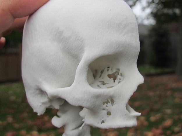 Half skull, half- size, created from CT scan data in Natural Sandstone