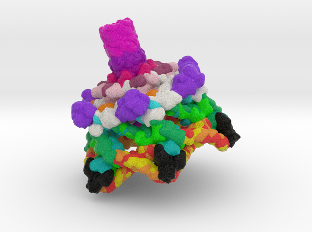 Bacteriophage T4 Baseplate  in Natural Full Color Sandstone