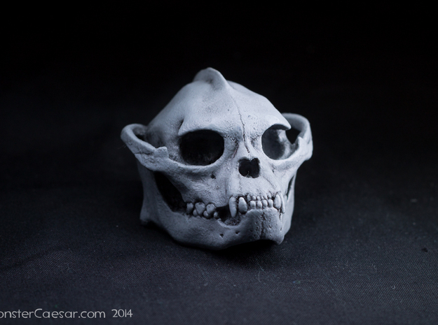 Skull 6 Hollow 2 in White Natural Versatile Plastic