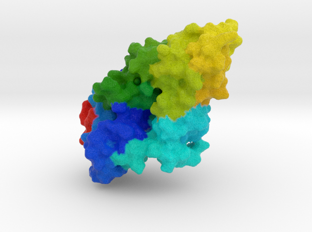 DNA Flap Endonuclease in Natural Full Color Sandstone