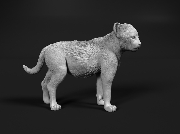 Cheetah 1:160 Standing Cub (2x) in Tan Fine Detail Plastic