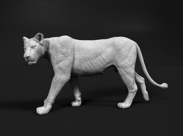 Lion 1:16 Walking Lioness 2 in White Natural Versatile Plastic