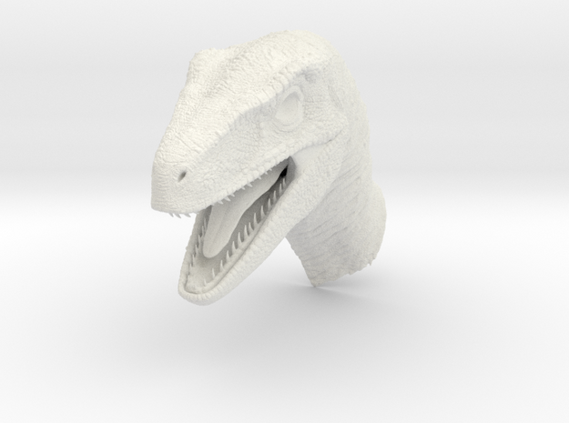 Velociraptor Head in White Natural Versatile Plastic