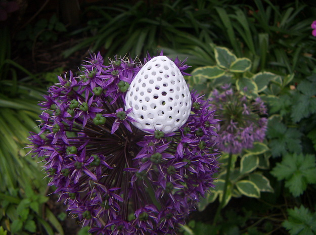 Dual GeodesicIcosahedron 8  Strawberry in White Natural Versatile Plastic