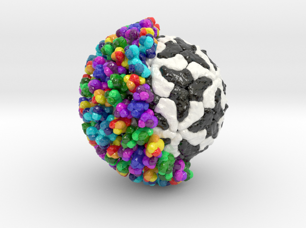 Bluetongue Virus (Large) in Glossy Full Color Sandstone