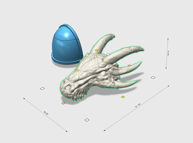 21 x 16 mm Dracorex Skull