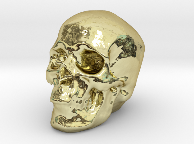 Skull 3DXS in 18k Gold Plated Brass
