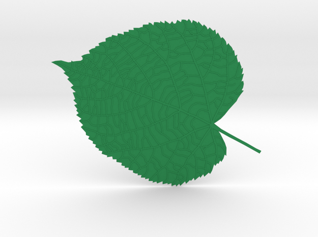 Tilia tree leaf (linden leaf) in Green Processed Versatile Plastic